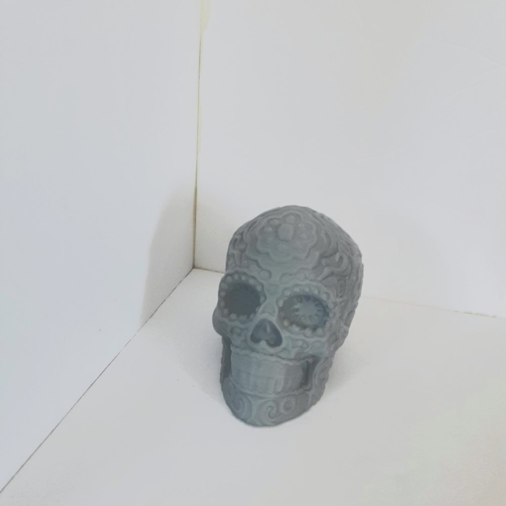3d Grey Skull